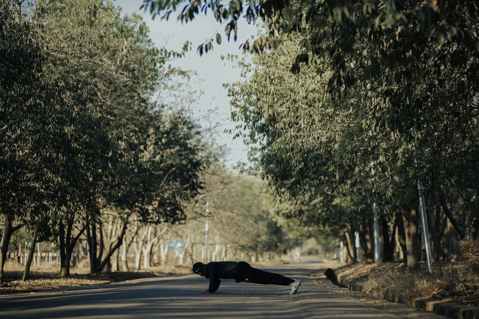 A man doing push-ups on a tree-lined road